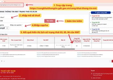 CỤC THUẾ BỔ SUNG CHỨC NĂNG KIỂM TRA LỊCH SỬ TRẠNG THÁI 03, 05, 06